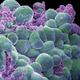 Illustration for article titled A Drug That Manipulates Retroviruses To Fight Cancer
